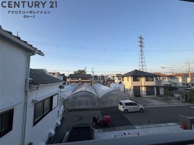 ロイヤルクラウン