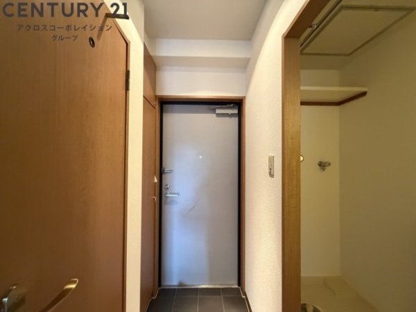 メルヴェイユドミール