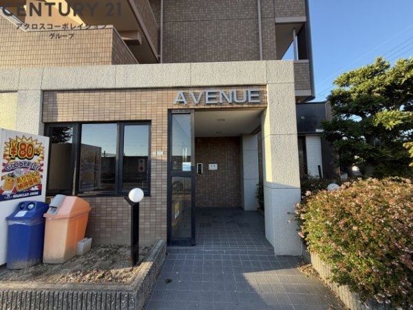 Avenue