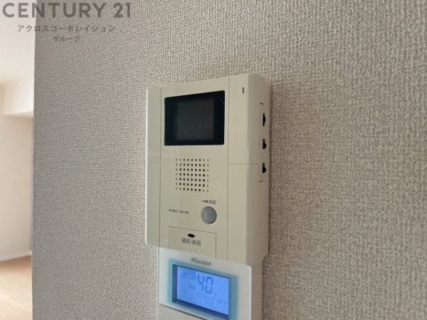 コスモス野上