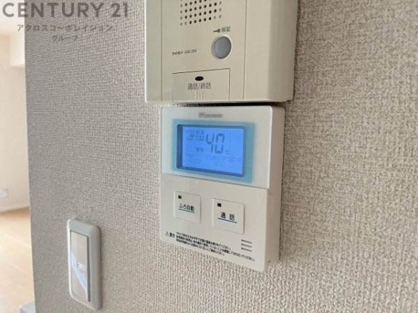 コスモス野上