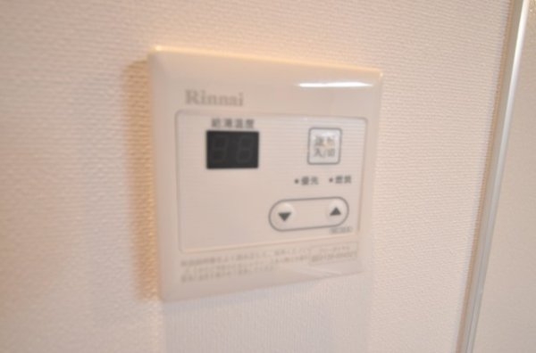 雅