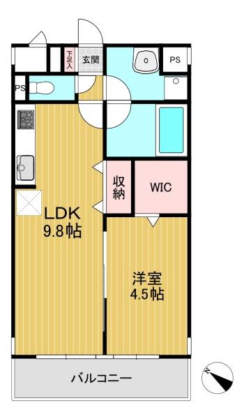 アンプルールフェール樹