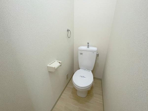 アンプルールフェール樹