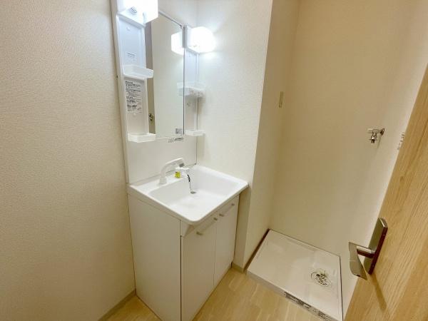 アンプルールフェール樹