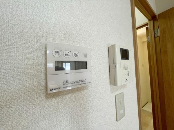 アンプルールフェール樹