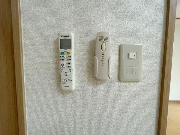 アンプルールフェール樹