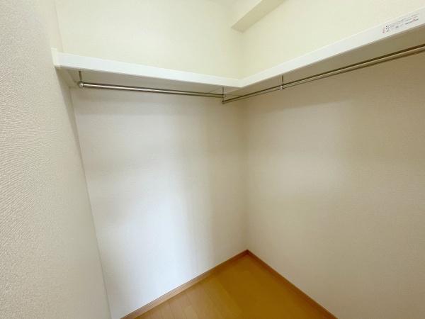 アンプルールフェール樹