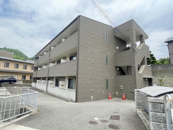 アンプルールフェール樹