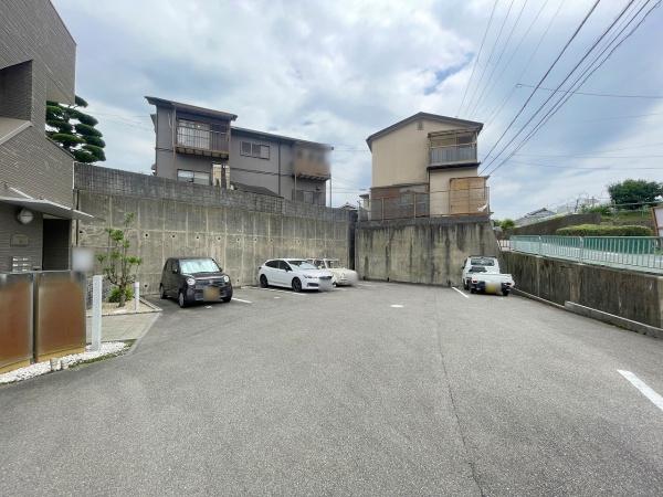 アンプルールフェール樹