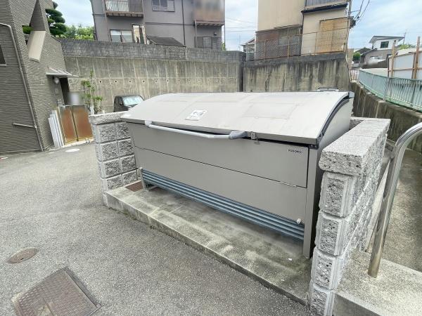 アンプルールフェール樹