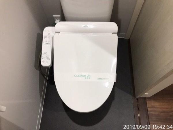 any(エニー)