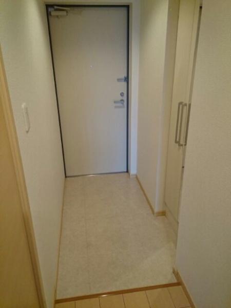 インサイド　ココア