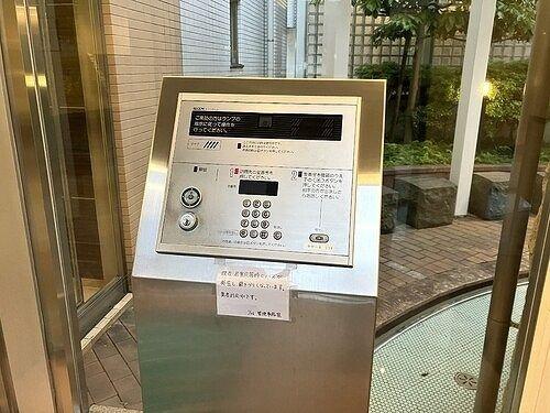 アデニウム小田急相模原