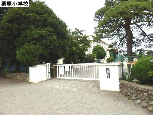 エルメゾン南栗原(座間市立栗原小学校)