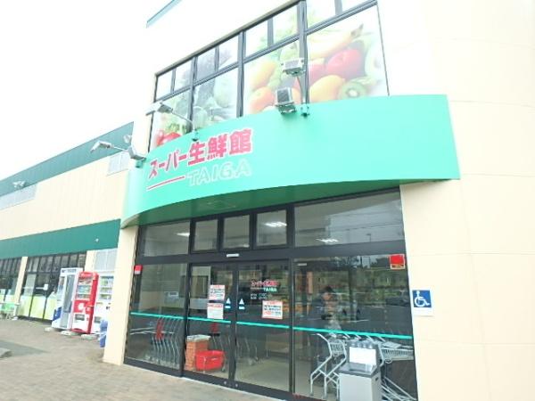 サーパス海老名(スーパー生鮮館TAIGA海老名下今泉店)
