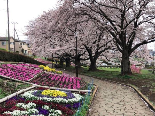 ＳＥＱＵＥＮＣＥ(かにが沢公園)