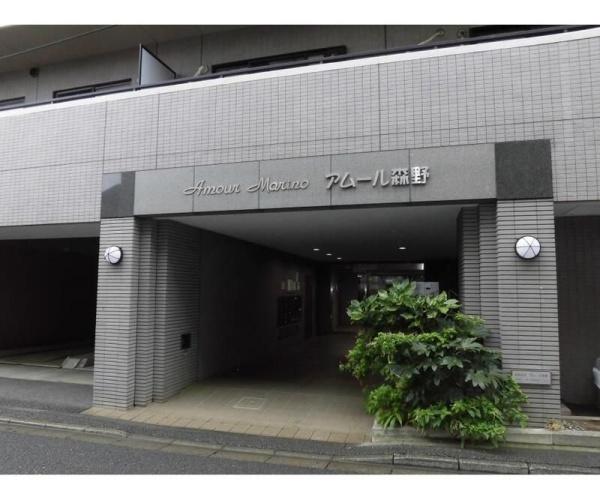 アムール森野