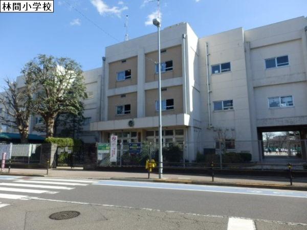 ナイスエスアリーナ南林間(林間小学校)