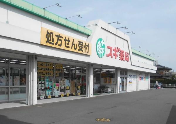 Ｎ－ｓｔａｇｅ　Ｈｏｎ－Ａｔｓｕｇｉ　Ｓａｋａｅｃｈｏ(スギ薬局　厚木恩名1丁目店)