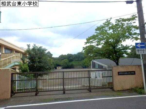 向日葵(座間市立相武台東小学校)
