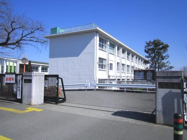 向日葵(座間中学校)