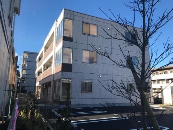 向日葵