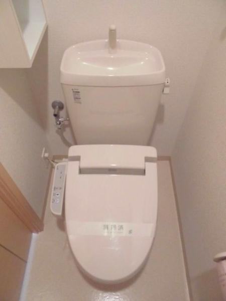 ラヴィダフェリス