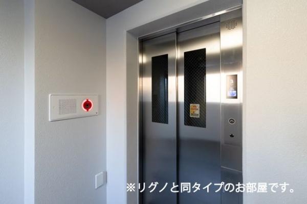 スタールミエールワッフル