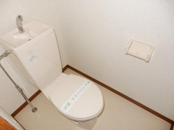 シャムロックⅠ