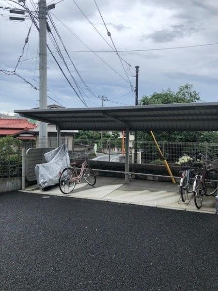 ベルテックス