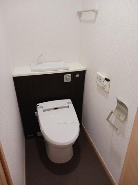 ベルテックス