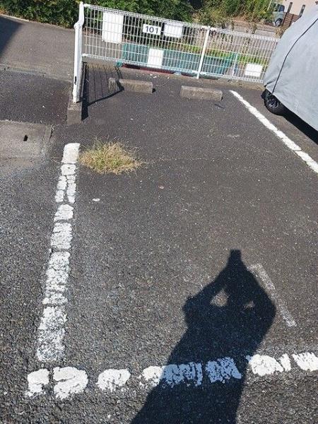 アクティブグリーンヒル