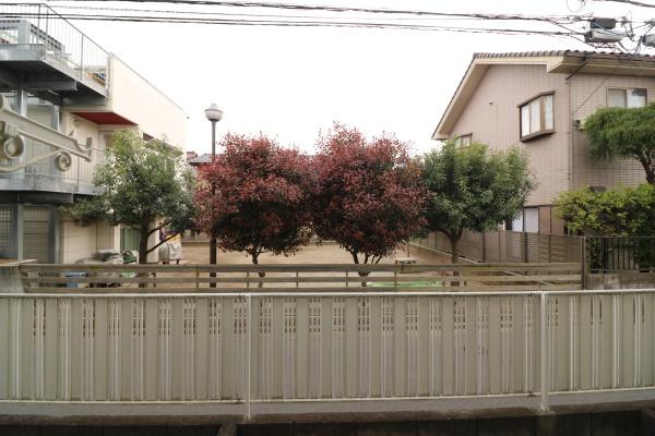 コーポくすのき