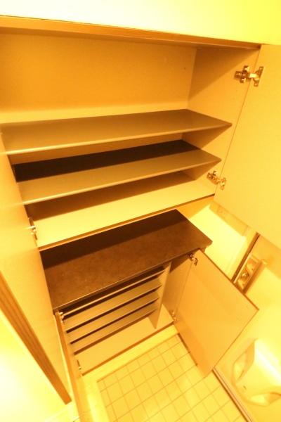 セレーノ豊玉中