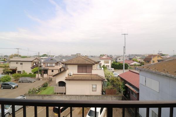 ビーグル花園