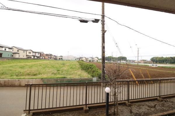 ビーグル花園