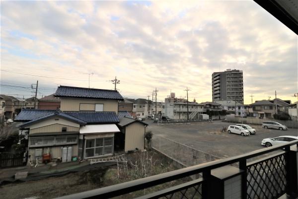 ツインハックベリーズ