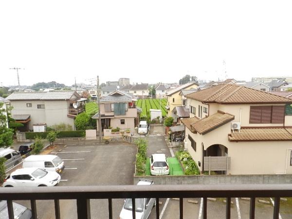 ビーグル花園