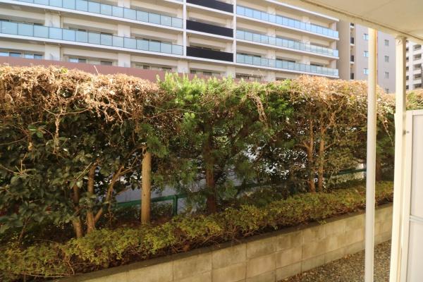 リエス所沢5号館