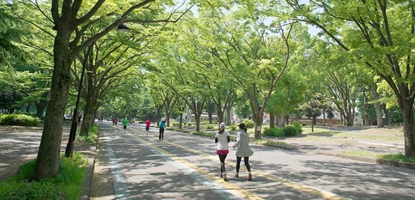 世田谷区駒沢２丁目のマンション(駒沢オリンピック公園)