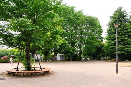 アルカディア駒沢(駒沢緑泉公園)