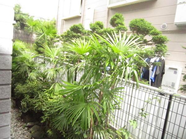 チェレステ二子玉川