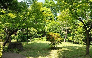 TOSHIハウス岡本(東京都立砧公園)