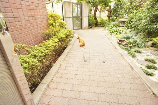ガーデンパレス玉川