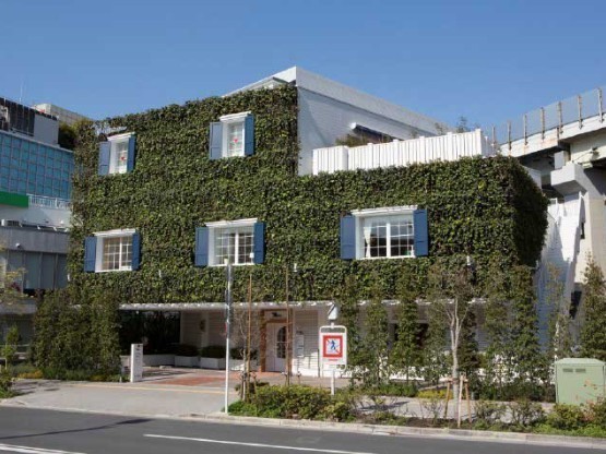 ブエナビスタ二子玉川(アイビーズプレイス)