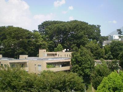 世田谷区玉川２丁目のマンション