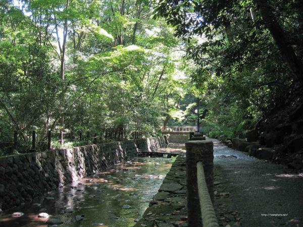 THEPARKEXIA等々力(等々力渓谷)