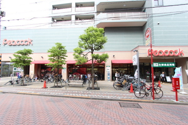 東玉川戸建(ピーコックストア石川台店)