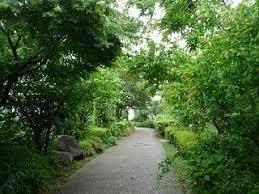 パレーシャル玉川(谷川緑道)